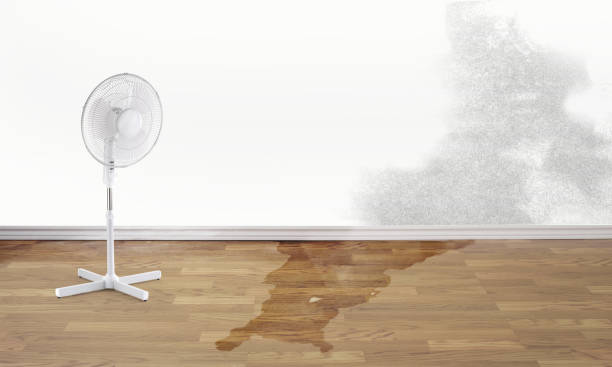 Best Ceiling water damage repair  in Saddle Rock, NY