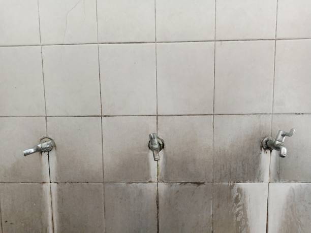 Best Mold removal after water damage  in Saddle Rock, NY