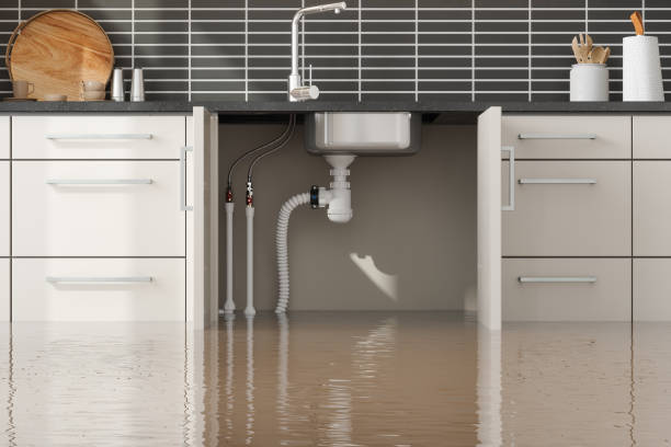 Best Water damage repair service  in Saddle Rock, NY