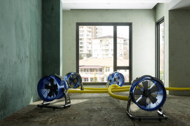 Best Residential water damage restoration  in Saddle Rock, NY